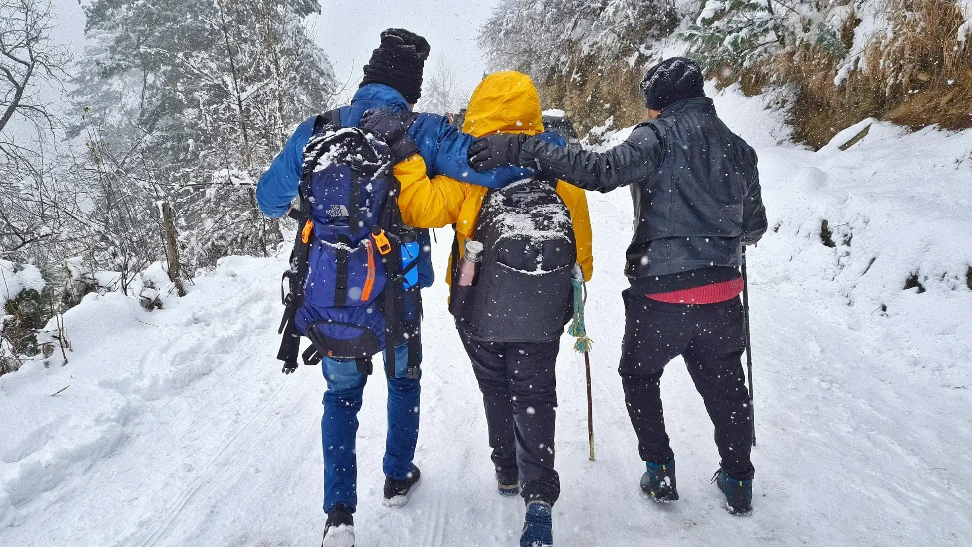 Beginner's Guide to Himalayan Trekking